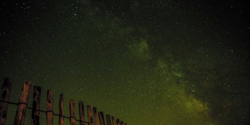 Authentic Madhubani Art: A Guide to Recognizing Bihar's Timeless Craftsmanship and Sculptural Traditions