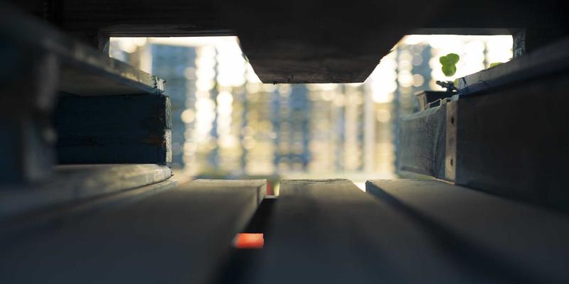 从Rasa到Dhvani：探寻印度美学哲学如何塑造其舞蹈与绘画遗产