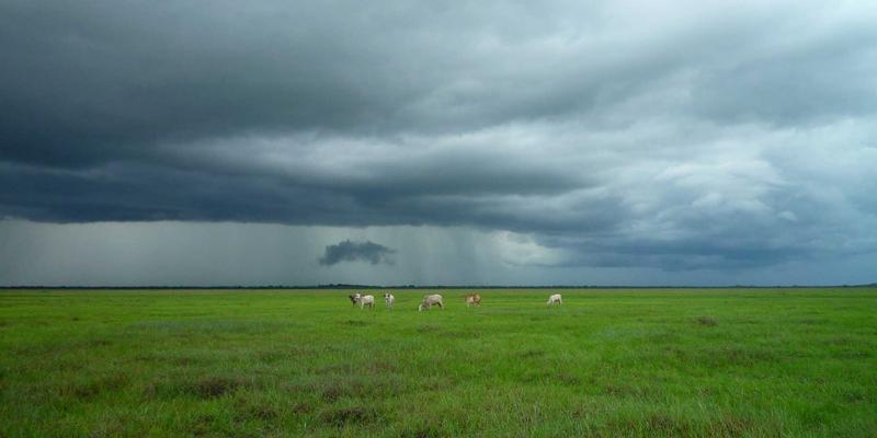 从神像雕塑到社会画布：印度街头艺术的匠心传承与批判精神