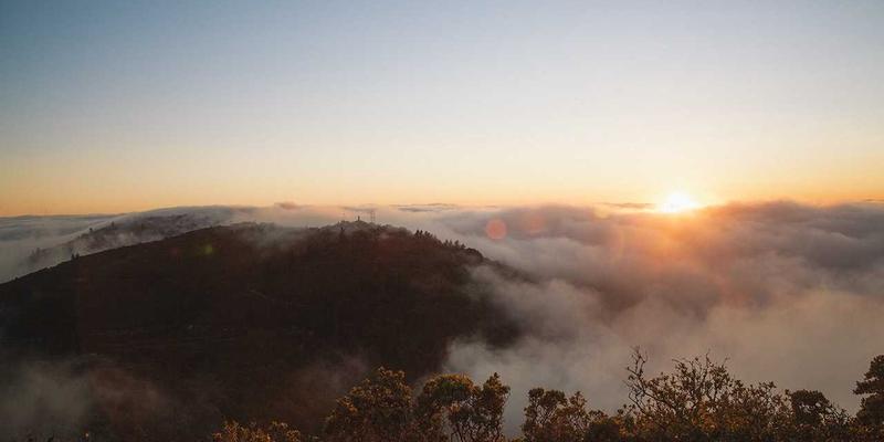 从织机到画布：印度纺织品艺术中的叙事如何在当代绘画中重生