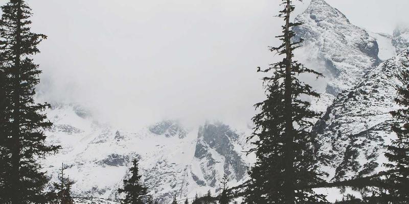 传统艺术与当代舞蹈的对话：Bharti Kher和Sheela Gowda如何重塑印度女性身份政治