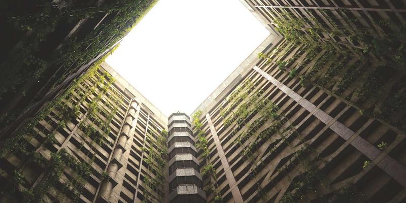 印度细密画：莫卧儿与拉杰普特画派的宫廷叙事与美学差异