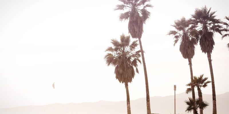 印度艺术91：当代绘画与工匠精神的交响曲