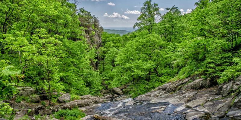 印度艺术与工艺的视觉叙事：从殖民凝视到独立后的自我表征与身份构建