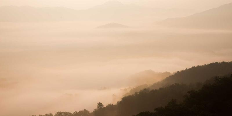 印度艺术瑰宝：从雕塑看印度文化的灵魂与传承