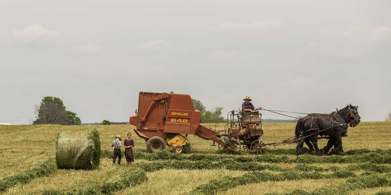 印度艺术遗产:从古老绘画到灵魂音乐的永恒回响