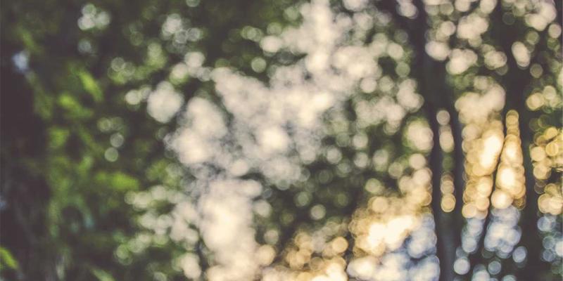 印度部落艺术中的几何抽象：从Saura画到Godna纹身的文化传承