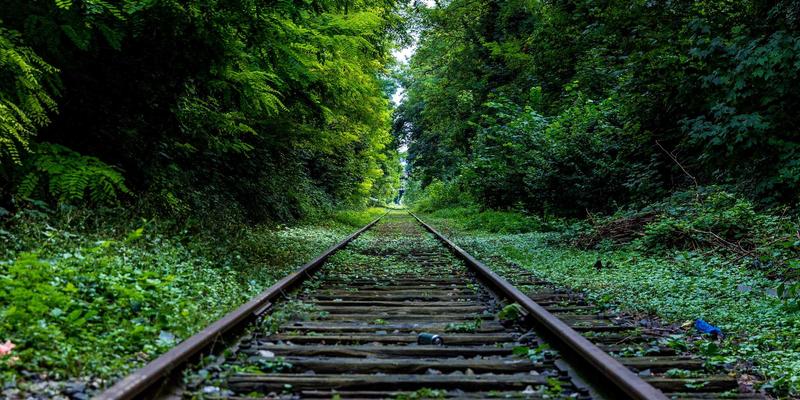 当代印度艺术与音乐的对话：传统与现代的创造性交响