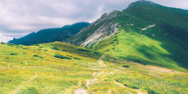 探寻印度部落艺术：瓦利、贡德与桑塔尔绘画的原始符号与当代价值