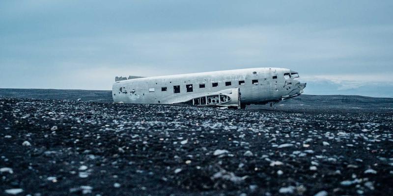 莫卧儿细密画中的植物学观察与帝国园林理想：自然之舞与印度艺术